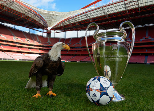 《51号球衣的重量：水手队与一朗之间不可分割的情感纽带》